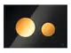 TECE-TECEloop-WC-Betaetigungsplatte-Glas-schwarz-Tasten-gold-Zweimengentechnik-9240658 gallery number 1